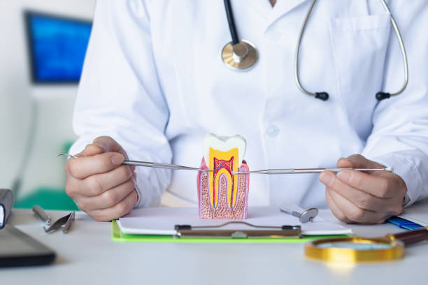 Best Urgent Tooth Repair  in Westmont, IL